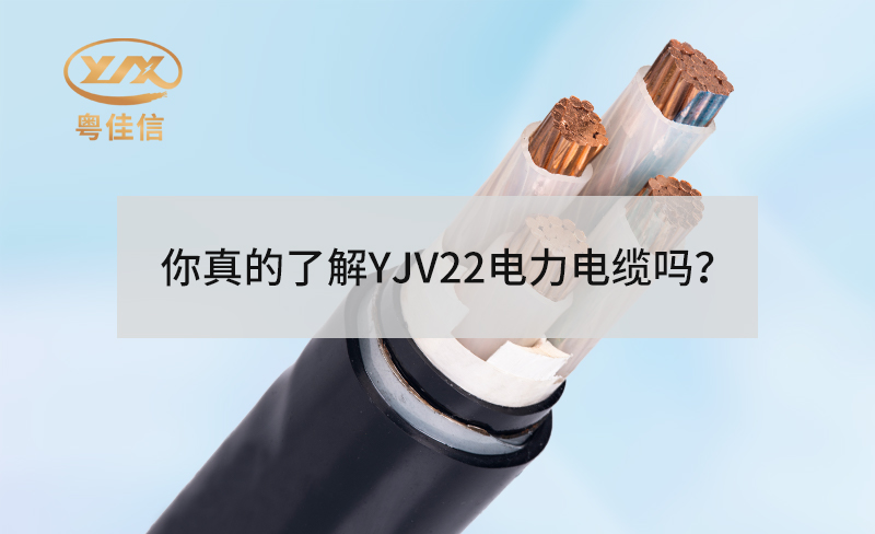 你真的了解YJV22丝瓜sigua官网下载ios吗？